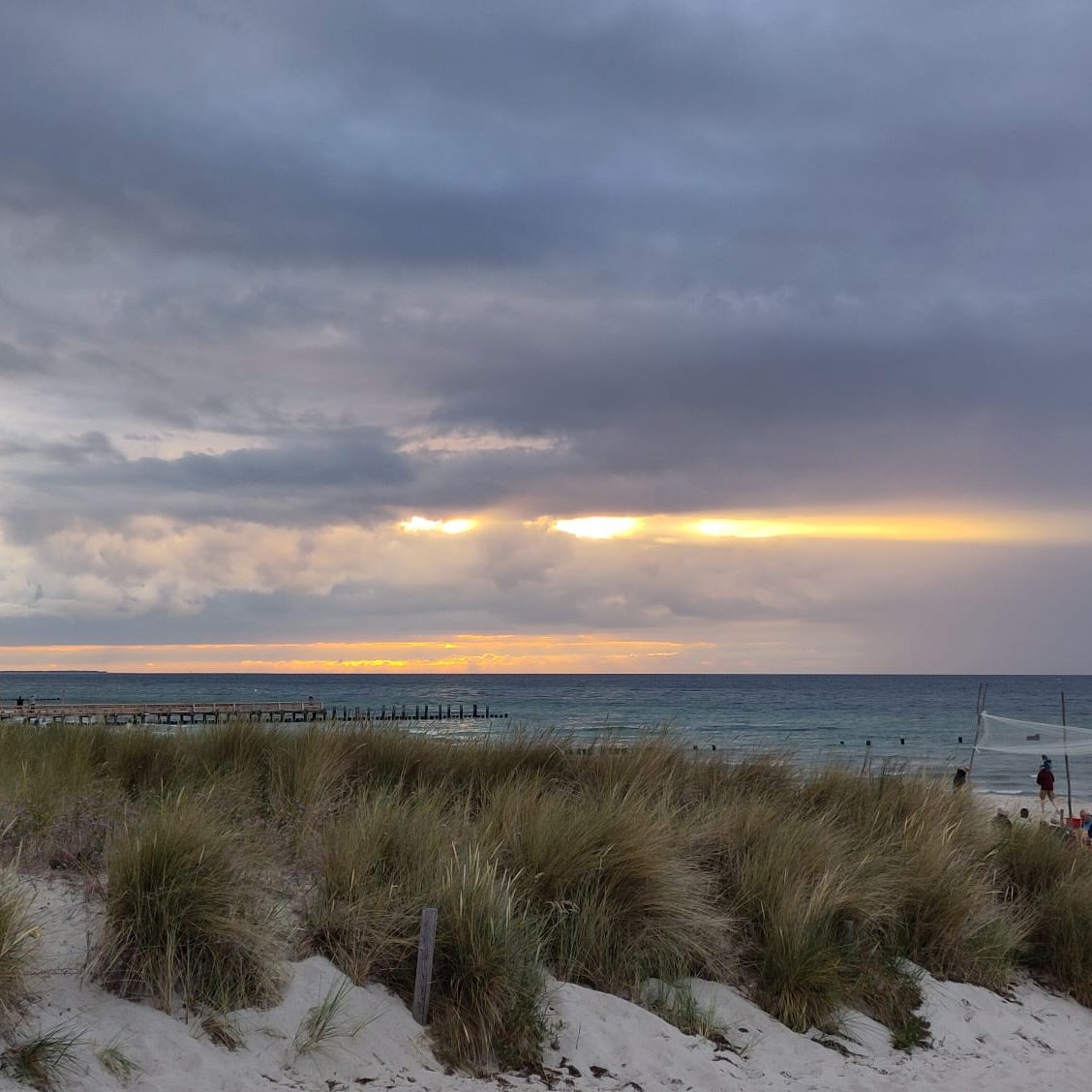 Dünenlandschaft mit Gras und einem bewölkten Himmel über dem Meer beim Sonnenuntergang in Zingst.