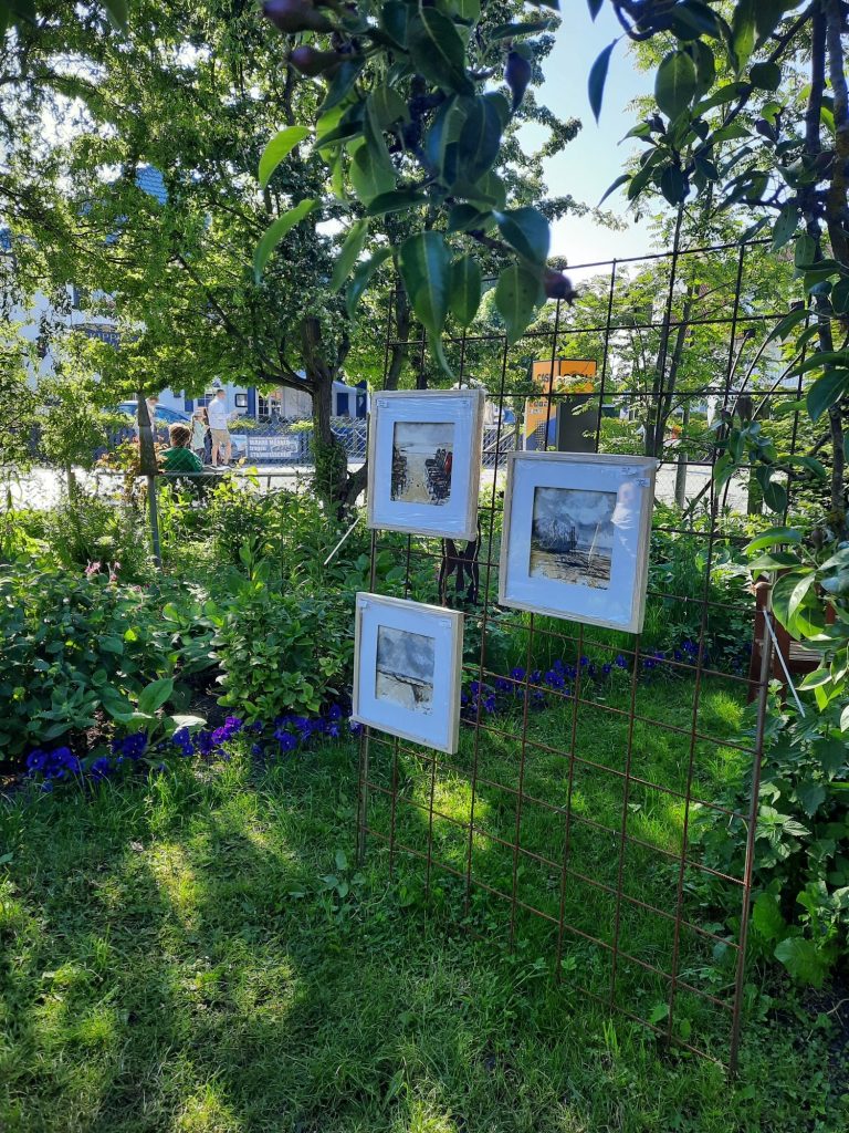 Drei gerahmte Bilder hängen zwischen grünen Pflanzen in einem Garten.